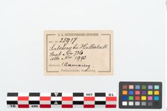Etikett zu Bronzearmreif (NHMW-PRAE-025917)